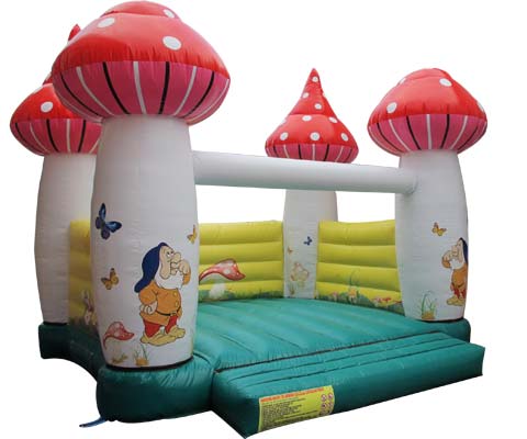 bounce house for sale commercial grade