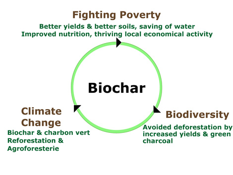 Benefits of Biochar