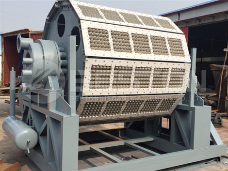 5000-6000pcs Egg Carton Machine For Sale