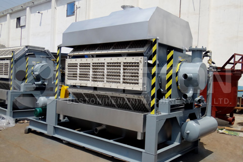 Egg Tray Manufacturing Project