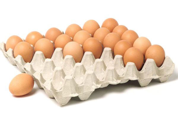 Biodegradable Egg Trays