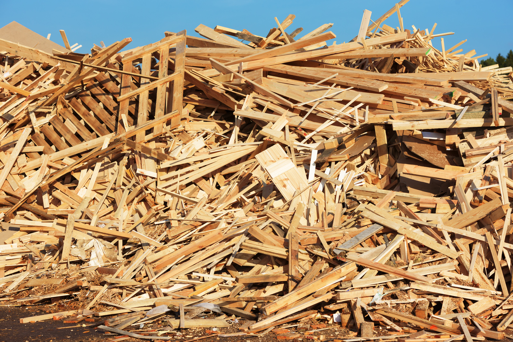Biomass wood waste